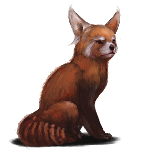 foundation_pet_02.png