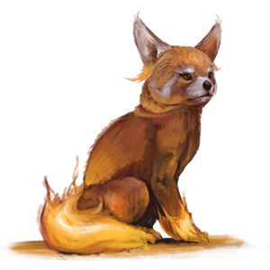 foundation_pet_fire.png