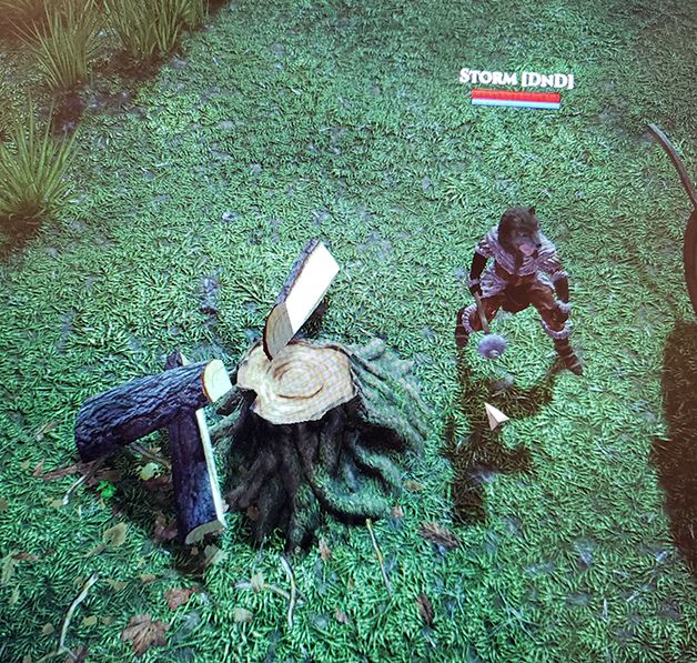 woodpile.jpg
