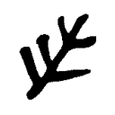 Takalihutye