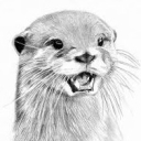 ottersage
