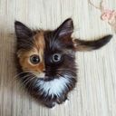 KitsuneSlytherin