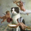 ClassyCat
