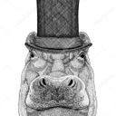 Hippo